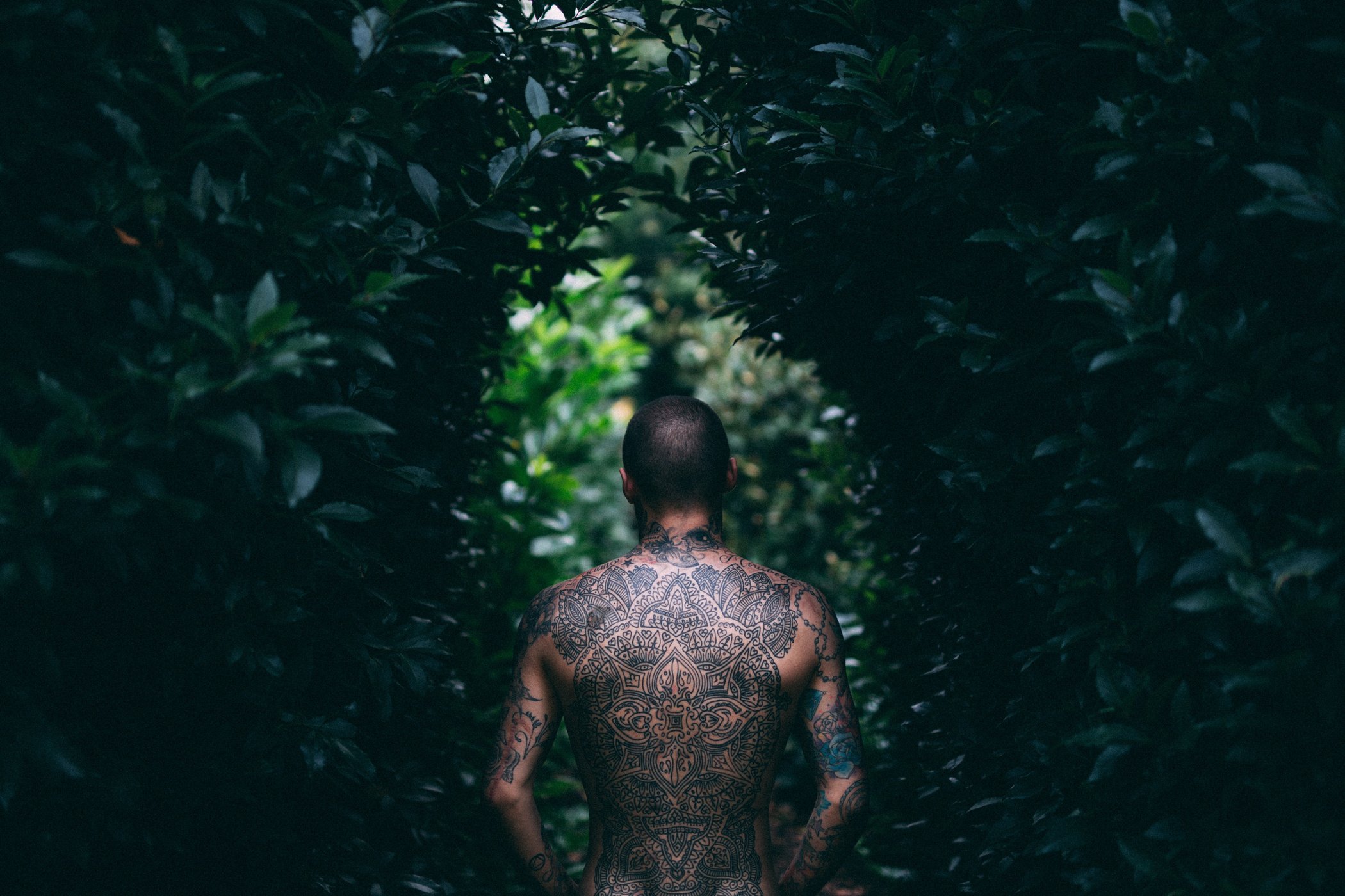 Tattooed Man Outdoors